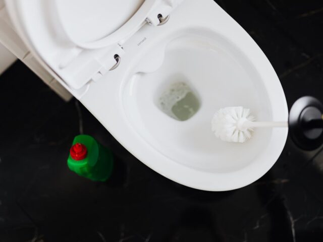 Groene ontlasting: wat betekent het en wanneer moet je opletten?