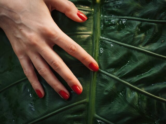 De belangrijkste oorzaken van afbrekende nagels en wat je eraan kunt doen