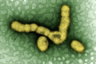 Sterke nagels: Zo zorg je goed voor je nagels