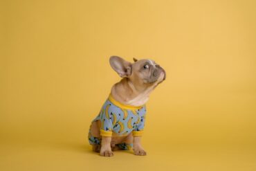 De bijzondere ervaring van nNea pizza in Amsterdam