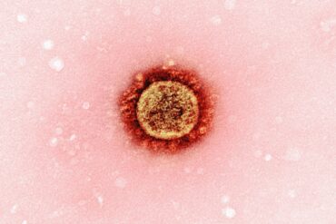 Mooie en verzorgde handen met french nagels