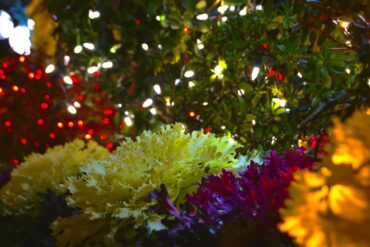 Rode nagels als tijdloze blikvanger