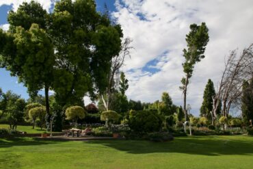 Gezonde nagels: hieraan herken je sterke en mooie nagels