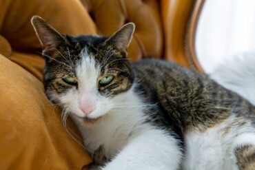 Dit zijn de redenen waarom jouw nagels zo snel groeien